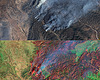 Satellietbeeld-i